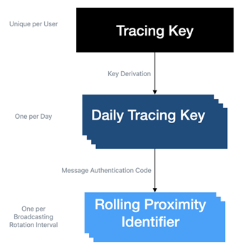 Apple/Google contact tracing key hierarchy